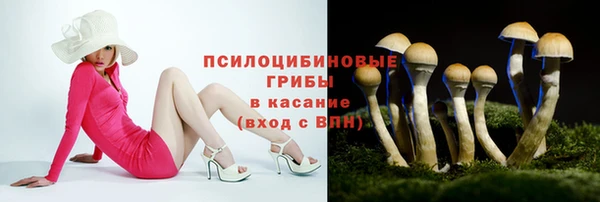 PSILOCYBIN Киреевск