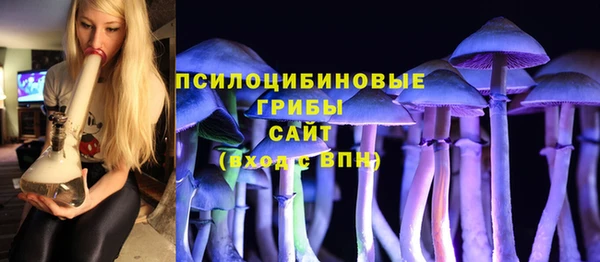 PSILOCYBIN Киреевск