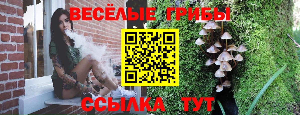 Галлюциногенные грибы ЛСД Балашиха