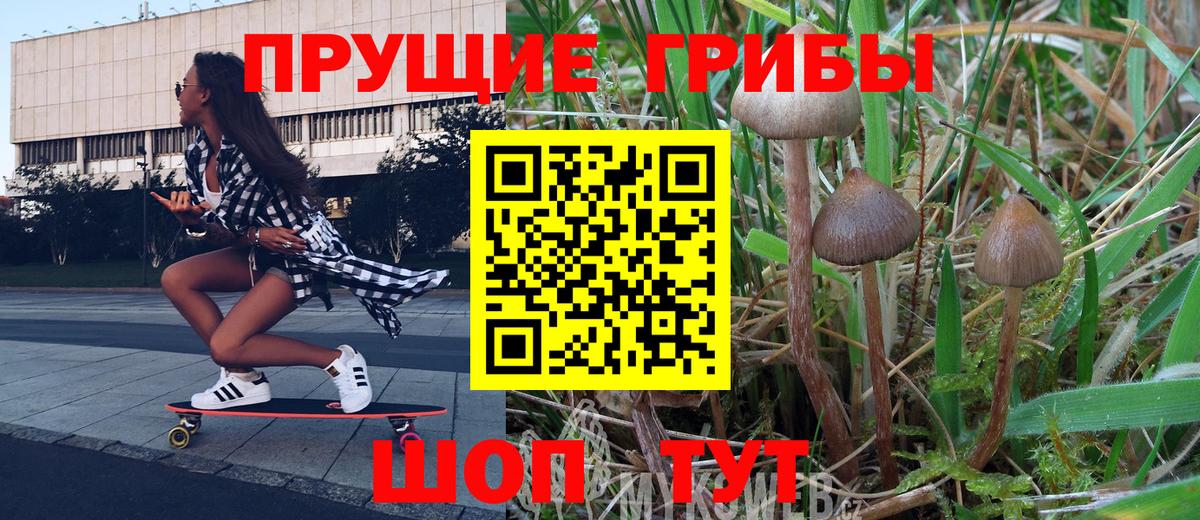 Галлюциногенные грибы мицелий Балашиха